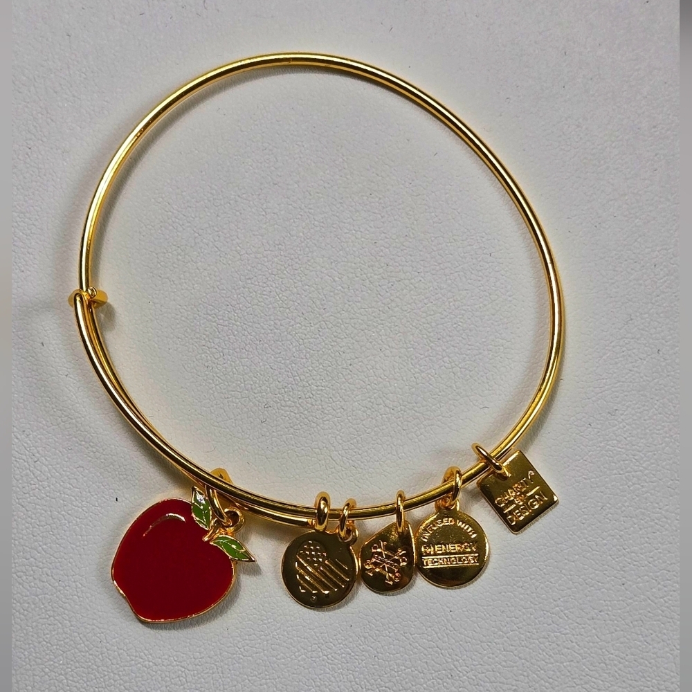 Alex And Ani Gold Tone Red Apple 2017  Charm Bracelet - Picture 7 of 15